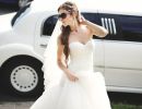 Chandler Wedding Limo - Chandler Wedding Limousine Transportation